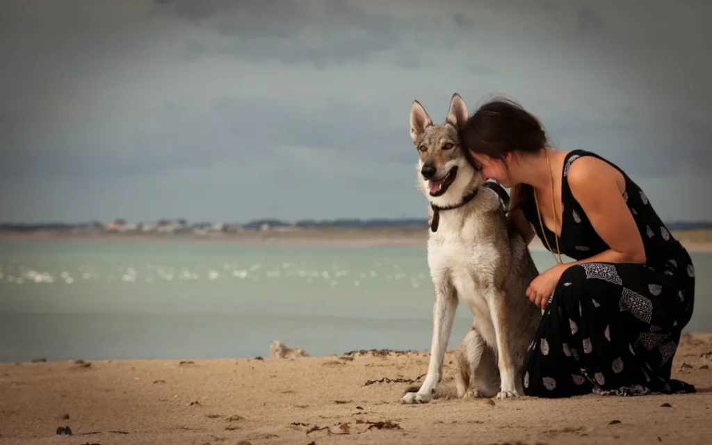Le-Poulpe-a-l-image-photographe-lorient-morbihan-animaux-0001