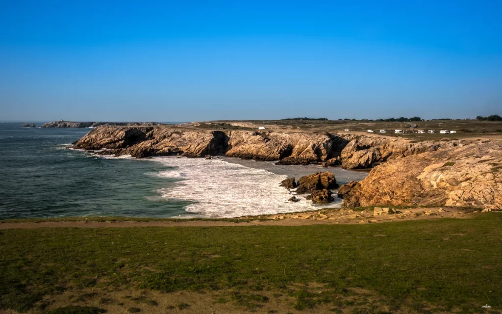Le-Poulpe-a-l-image-photographe-lorient-morbihan-nature-0002