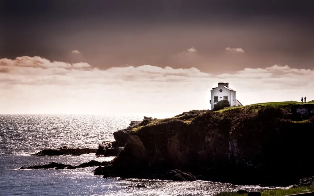 Le-Poulpe-a-l-image-photographe-lorient-morbihan-nature-0005