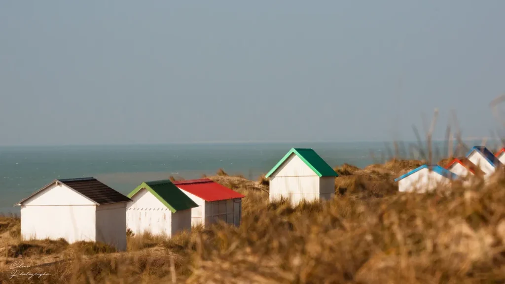 Le-Poulpe-a-l-image-photographe-lorient-morbihan-nature-0006