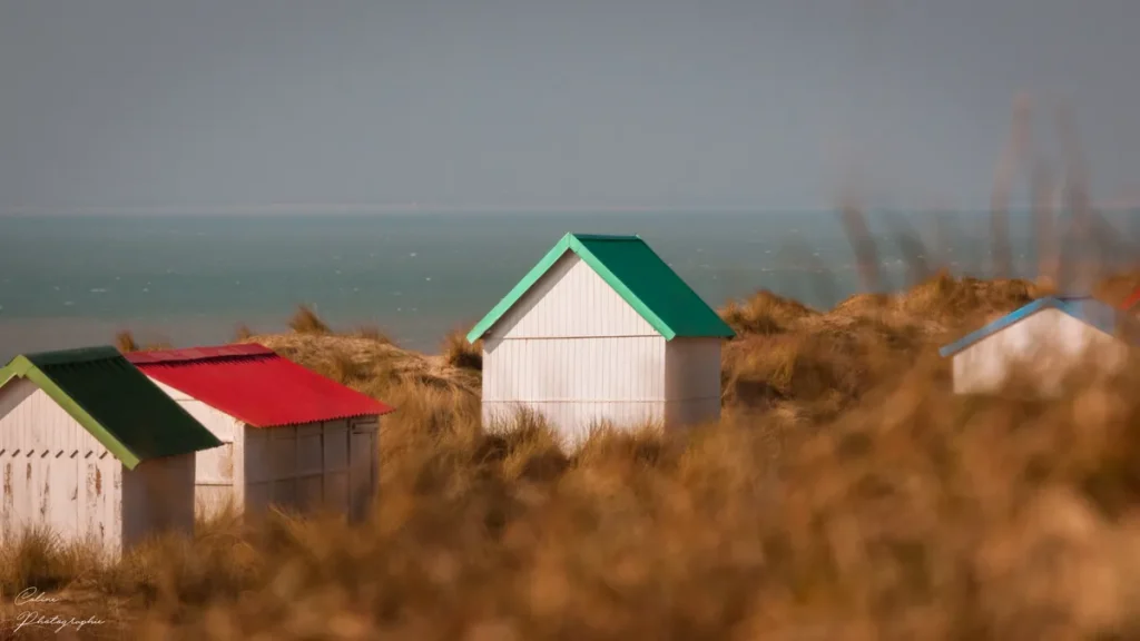 Le-Poulpe-a-l-image-photographe-lorient-morbihan-nature-0008