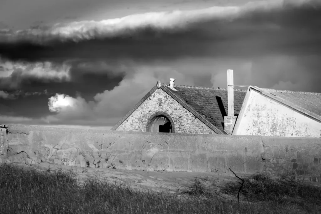 Le-Poulpe-a-l-image-photographe-lorient-morbihan-nature-0014