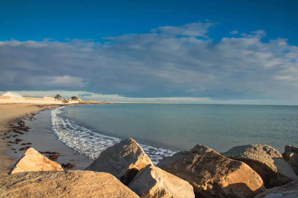 Le-Poulpe-a-l-image-photographe-lorient-morbihan-nature-0015
