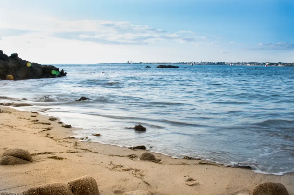 Le-Poulpe-a-l-image-photographe-lorient-morbihan-nature-0016