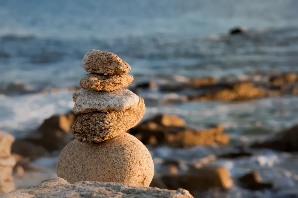 Le-Poulpe-a-l-image-photographe-lorient-morbihan-nature-0017