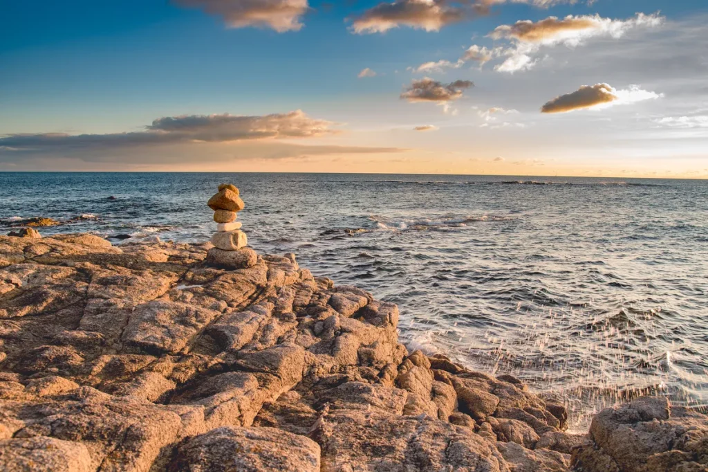 Le-Poulpe-a-l-image-photographe-lorient-morbihan-nature-0018