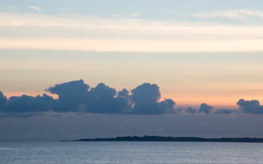 Le-Poulpe-a-l-image-photographe-lorient-morbihan-nature-0024