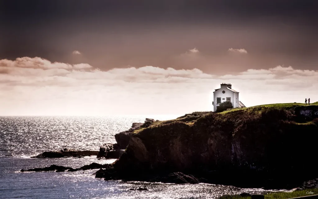 Le-Poulpe-a-l-image-photographe-lorient-morbihan-nature-0044